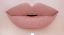 Beauty Creations matte bare lipstick set