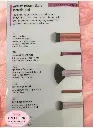 brush 52.webp