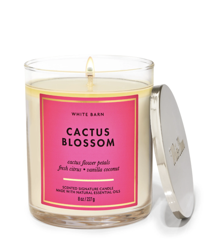 Bath & Body Works Single Wick Candle - Cactus Blossom 