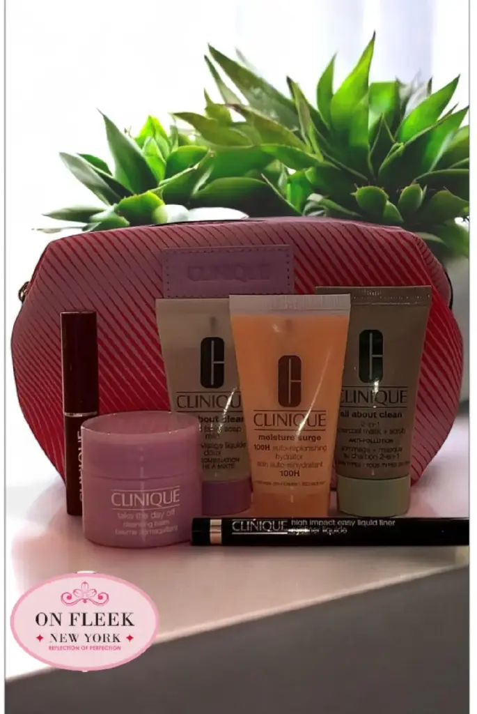 Clinique Pink Gift Bag
